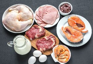 Protein-Diät für Gewicht-Verlust